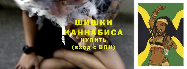 spice Медногорск