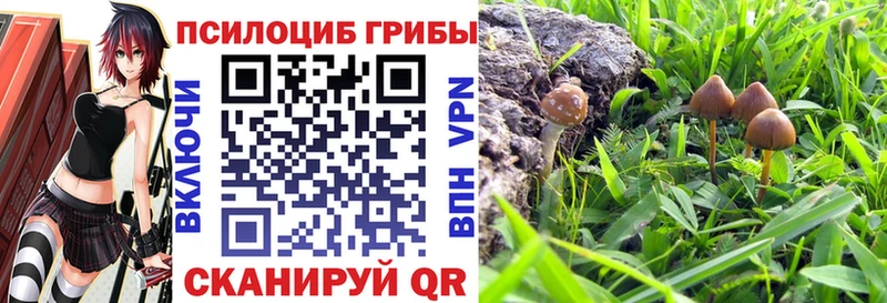 Псилоцибиновые грибы мицелий  купить   Елабуга 