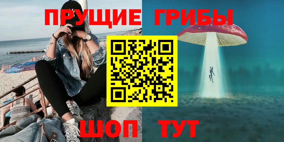 Псилоцибиновые грибы мицелий Елабуга