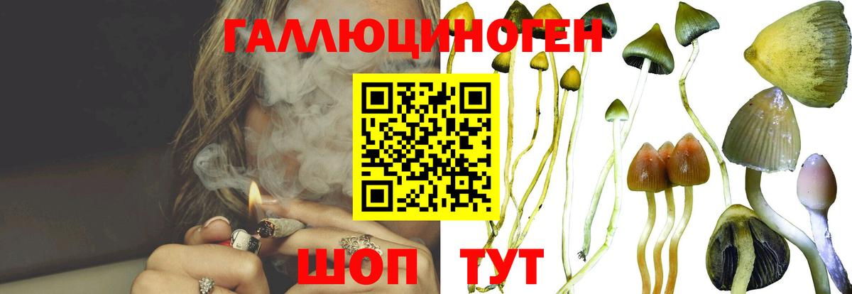 Галлюциногенные грибы GOLDEN TEACHER  Вход с VPN  Елабуга 